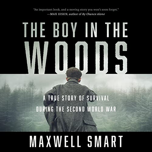 The Boy in the Woods by Maxwell Smart episode artwork