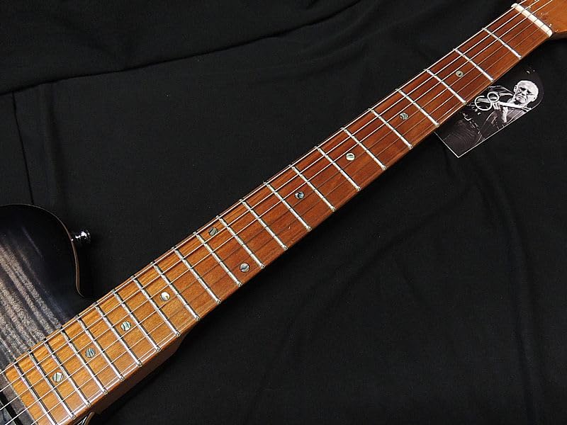 Amazon | Sire Larry Carlton T7 FM TBK Flame Maple サイアー ラリー