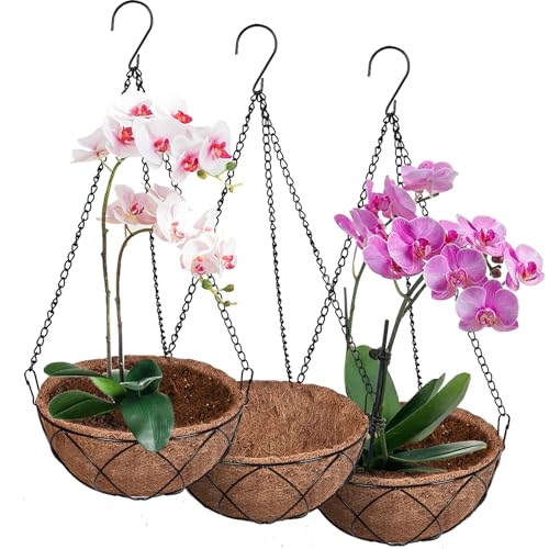 Moryimi Hanging Orchid Baskets with Liners, Set of 3 Orchid