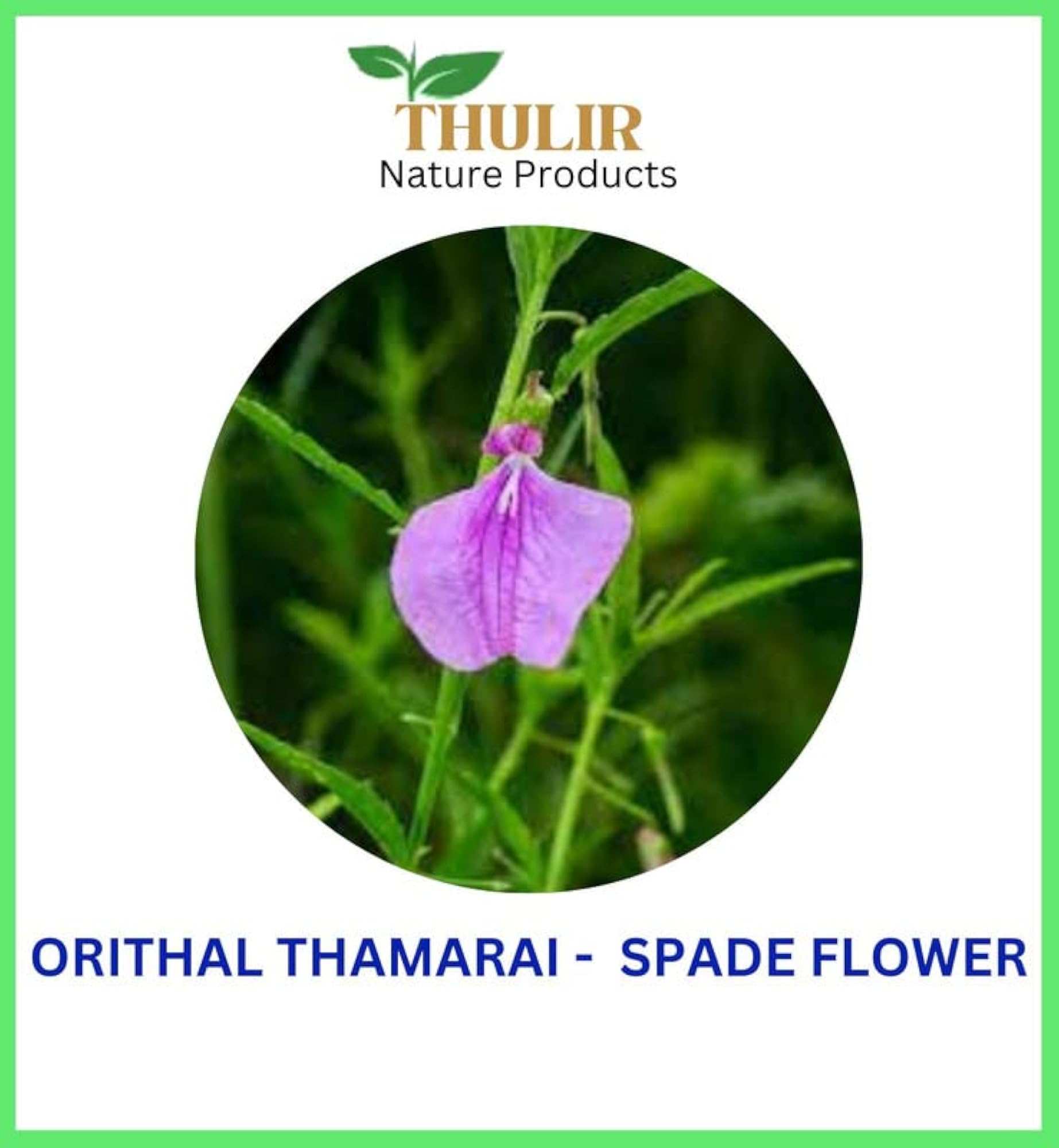 Orithal Thamarai Powder, 200g