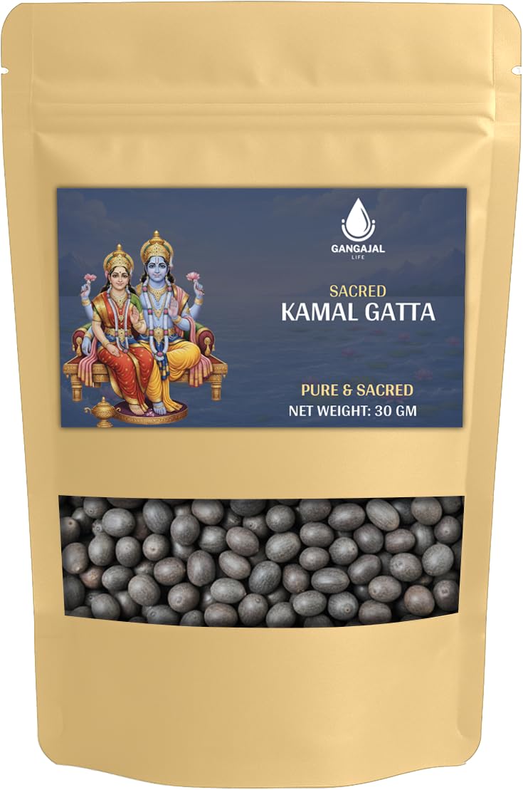 Kamal Gatta Seed, Water Lotus Flower Plant Seeds for Pooja, Laxmi Havan, Rosary of Kamalgatta(11 pcs)-image-40