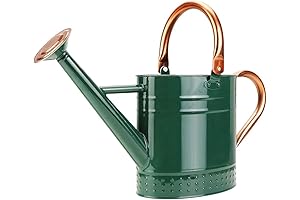 Vintage Metal Watering Can Planter for Indoor & Outdoor Plants