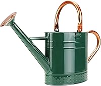 Megawodar 1 Gallon Galvanized Steel Watering Can with Removable Spout - Rustproof Embossed Design for Indoor Outdoor Plants