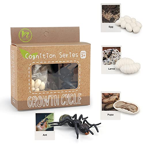 Montessori Life Cycle Animal Figures with Flash Cards, Realistic Animal Plant - Bild 39 von 71
