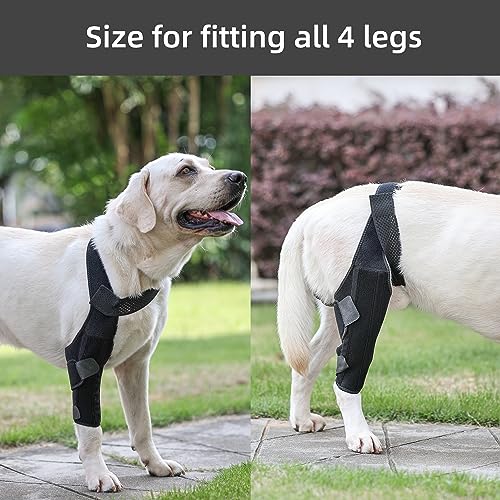 Image of Dog Knee Brace for Support with Cruciate Ligament Injury, Joint Pain and Muscle Sore,Adjustable Dog Leg Brace Protects Wounds,Heals,and Prevents Wound Infection for Dogs S