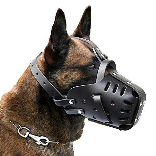 ̌ցAvybgJo[AނƂhAiAށA߉\ȒʋCA}mƃh[x}̃g[jOp