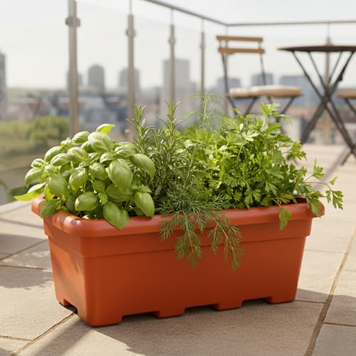 Image of Kraft Seeds 17 inch Pack of 1 Rectangular Planters, Durable UV Treated Balcony planters, Indoor & Outdoor- Flower pots for Balcony,Red Plant Pot with Drainage Holes