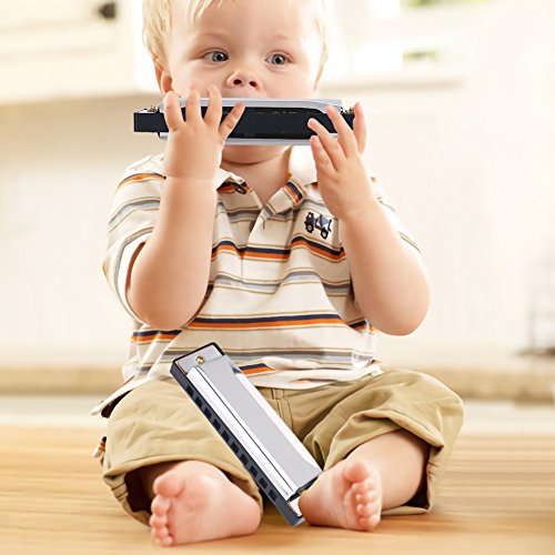 Harmonica, 10 Hole Metal Harmonica, Blue Rock Jazz Folk Harmonicas, Suitable For Beginner, Adults, Children's Gift (Silver) #TOP1