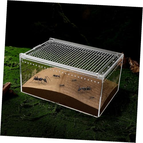 Vitrine pour reptiles évents étanches évite la fuite des escargots