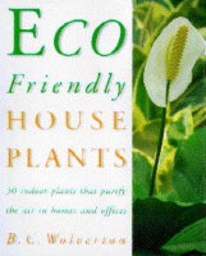 Eco-friendly Houseplants: Purify the Air