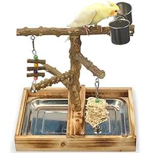 Natural Wood Bird Toys Playground, Bird Cage Accessories, Bird Perches, with Removable Tray and 2 Stainless Steel Cups