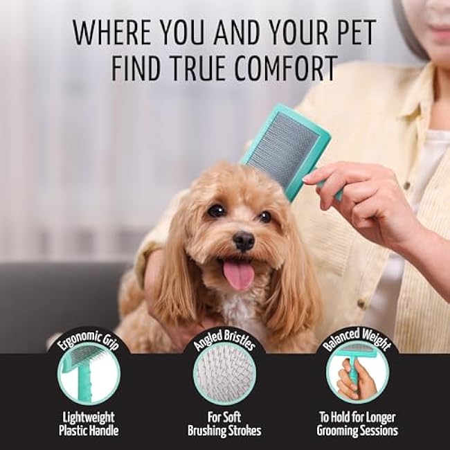 Tauro Pro Line Dog Slicker Brush for Shedding - Removes Undercoat, Tangles Short, Wavy & Long Hair - Pet Brush for Dog & Cat Grooming, Non-Slip Grip, Hard Pin (Size L - Mint)-RKryT5wz