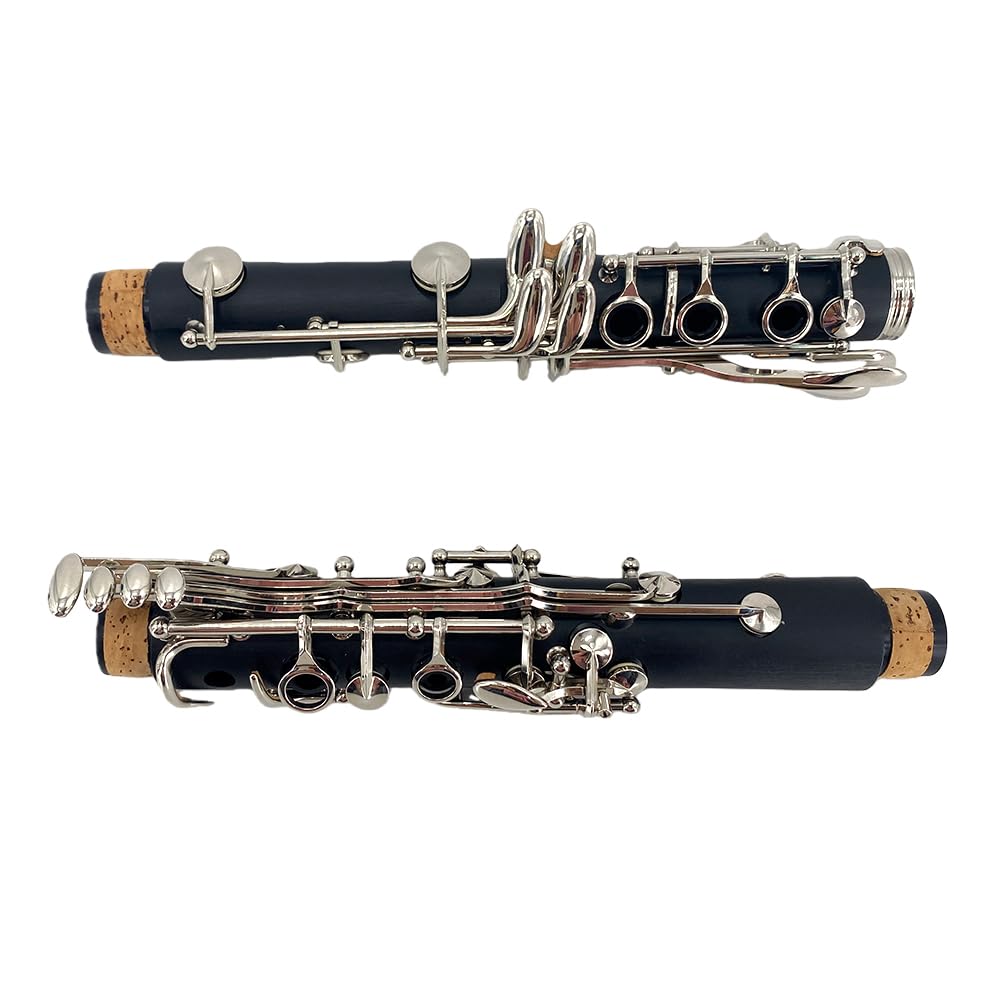 Clarinete para principiantes, clarinete profesional de ebonita con 2 barriles, kit de limpieza de estuche rígido, guantes de grasa de corcho y boquilla (llave BB)