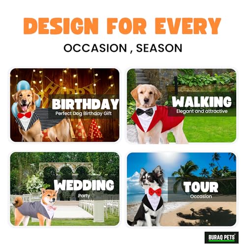 Image of Buraq Premium Dog Wedding Suit, Elegant Tuxedo with Bow Tie & Bandana, Comfortable, Washable Outfit for Dogs (M - Blue)
