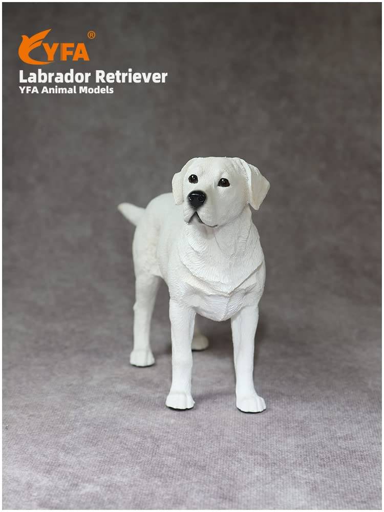 Amazon | JJM ラブラドール・レトリバー 犬 立ち姿 スタチュー