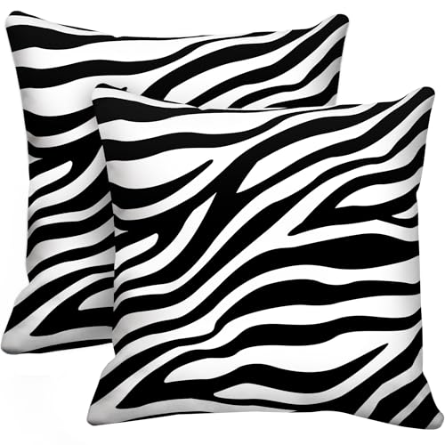 Alricc Lot de 2 housses de coussin décoratives douces pour maison, salon, chambre à coucher -...