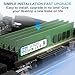 LIYI DDR4 32GB (2x16GB) 2400MHz Desktop RAM Kit | PC4-19200 CL17 1.2V 288-Pin UDIMM | Dual Channel for Intel Core i7/i9, AMD Ryzen 7/9 | XMP 2.0 Non-ECC | Computer Desktop RAM Memory Upgrade