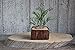 ''HANDMADE''Minimalist plant and flower trio decor, Set of 3 decorative rustic chic design wood cedar block, Artificial green plant and flower on the block, Perfect gift idea, Wood decor