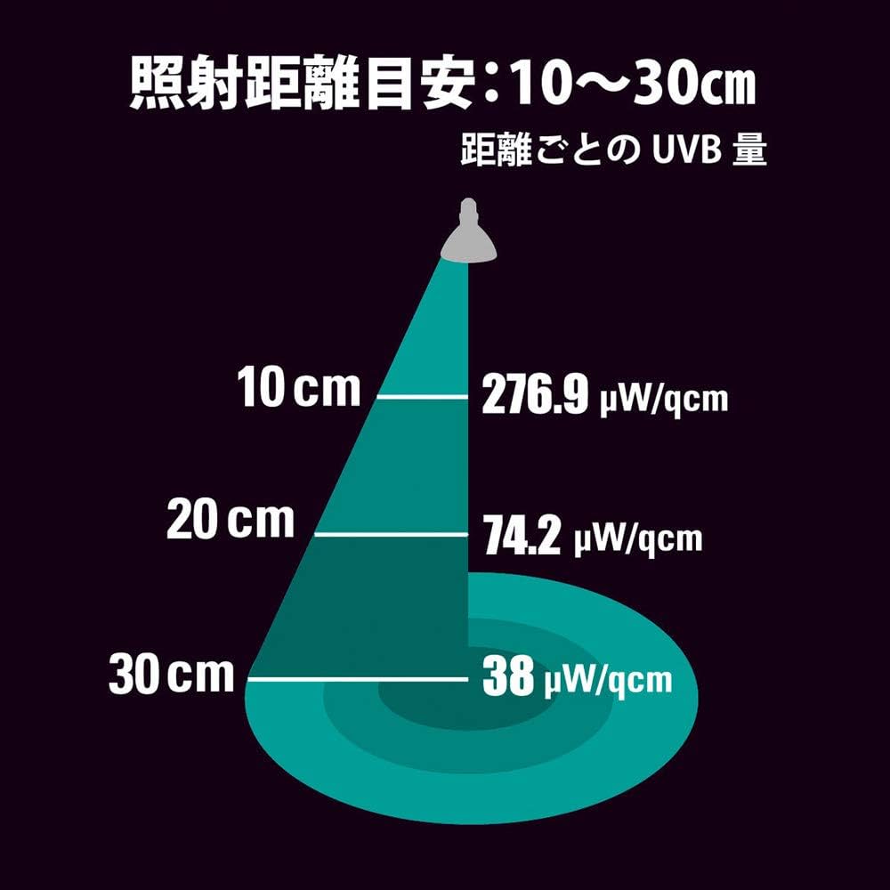 518v6aCrUIL._AC_UF1000,