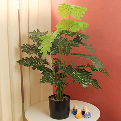 "Bring Home the Lush Greenery with TIED RIBBONS Large Philodendron Plant - Perfect for Indoor & Outdoor Decor!"
