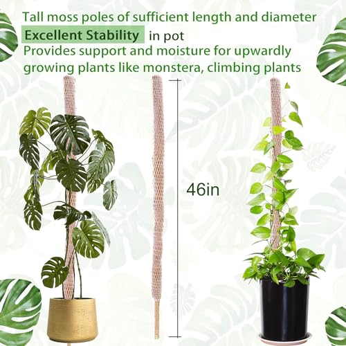 HuiPoLii Moss Pole,Natural Coco Coir Poles,1 Pack 46in Monstera Plant Support,Moss Pole for Plants,DIY Shape,Use Plant Support for Indoor Plants3