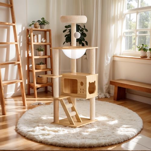 Árbol para gatos de madera sólida con cápsula transparente miniatura 1