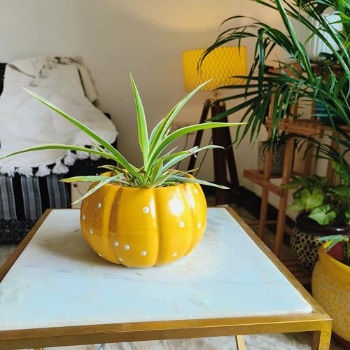 Niyara Pumpkin Shape Ceramic planters Pot for Indoor Outdoor Home...