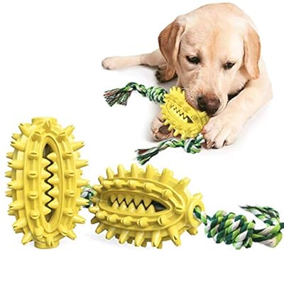 LucaSng Dog Toothbrush Toy, Cactus Shaped Dog Chew Toy with Cotton Rope, Dog Teeth Cleaning Toy, Dog Rope Toy for Small, Large Dogs and Aggressive Chewers?Yellow?