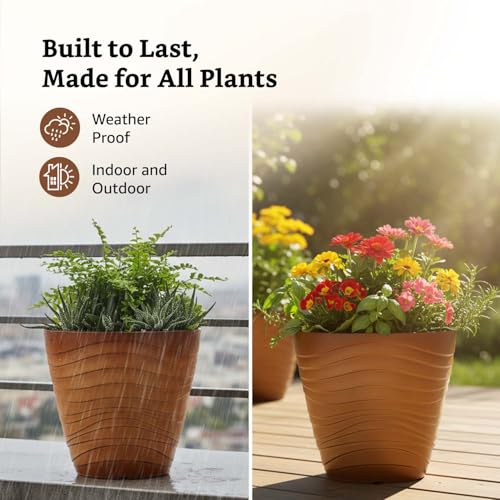 Image of Amazon Brand- Solimo Indoor and Outdoor Round 10 Inch Muscat Flower Planter Pot Best for Terrace /Balcony /Home /Office Decor - Set of 2