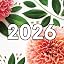 Bright Dahlias- 2026