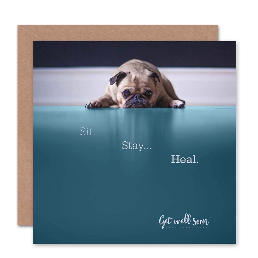 Wee Blue Coo Blue Wee Coo Greetings Card Birthday Gift Get Well Sit Stay Heal Dog