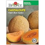 Burpee Heirloom Hale's Best Jumbo Cantaloupe Seeds - Sweet, Aromatic Melon