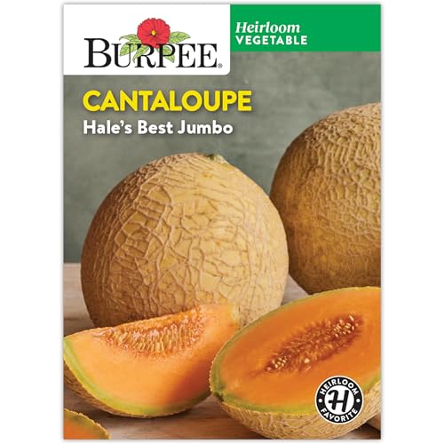 Burpee Heirloom Hale's Best Jumbo Cantaloupe Seeds - Sweet, Aromatic
