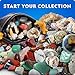 National Geographic Rock Collection Box for Kids – 300+ Piece Gemstones and Crystals Set Includes Geodes and Real Crystals, Rocks and Minerals, Science Kit for Kids, A Geology Gift for Boys and Girls