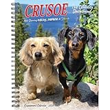 Crusoe the Celebrity Dachshund 2026 6.5' x 8.5' Engagement Calendar