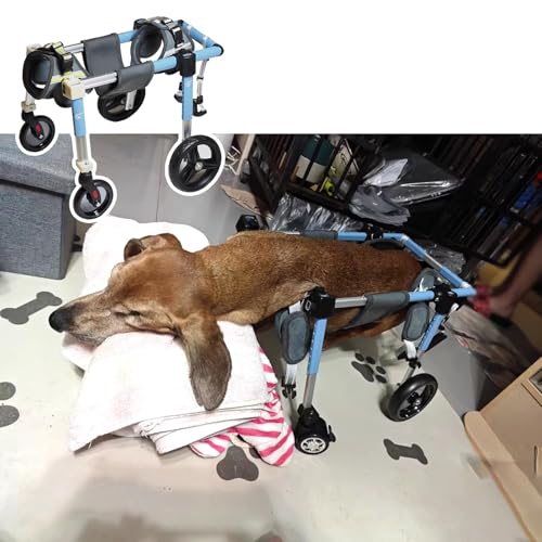 軽量犬車椅子 調節可能な犬用車椅子 耐久性のあるアルミ製 フロント&バックレッグサポート 移動補助具 複数サイズ(XL)
