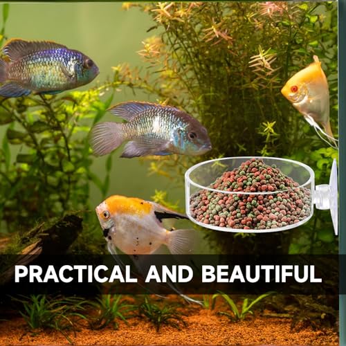Image of 2Pcs Aquarium Shrimp Feeder Dish with Suction 75mm Round Clear Fish Tank Food Tray Container Glass Fish Tank Feeding Bowls for Aquarium Tanks Feeding Tray
