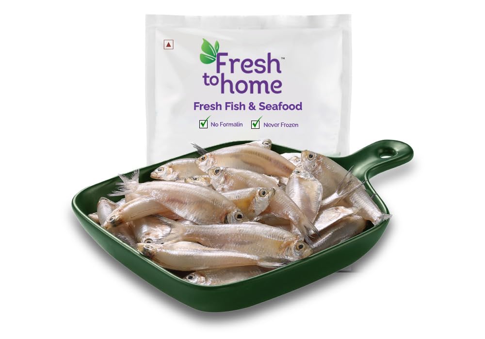 FreshToHome White Sardine/Veloori/Silver Fish/White Fish | Whole | 240g to 250g Pack | Fresh | Never Frozen-image-32