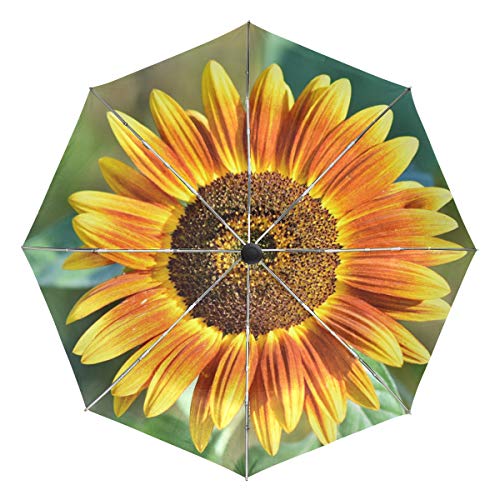 Preisvergleich Produktbild FAJRO Regenschirm, Sonnenblume, Winddicht, automatische Regenschirme, für Regen, Outdoor / Damen / Herren