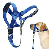 No-Pull Head Collar for Dogs Training & Walking Made Easy, Soft Dog Halter Harness with Expert Train