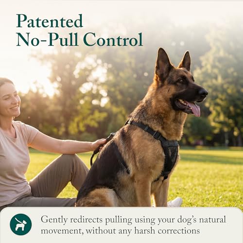 Image of Sporn No Pull Dog Harness, Durable Nylon Mesh Harness for Large Dogs, No Choke Design, Padded Restraint Sleeves, Adjustable Fit, Easy On /Off, Large /XL for Extra Large Breeds, Red