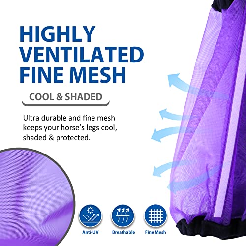Image of Universal Size Horse Leggings Fine Mesh Horse Fly Boots Greatly Reduce Stomping Breathable Horse Boots Leg Wraps (Set of 4) Purple