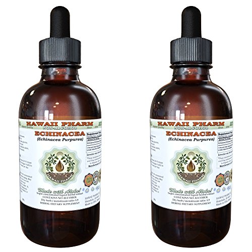 Echinacea Alcohol-Free Liquid Extract, Echinacea (Echinacea Purpurea) Dried Root Glycerite Herbal Supplement 2x2 oz
