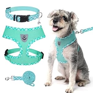 BINGPET Small Dog Harness and Leash Collar Set,Soft Mesh Reflective Dog Vest Harness No Pull,Step in Puppy Harness for Small Medium Dogs Outdoor Walking,Lightweight Adjustable Pet Harness(Green,M)
