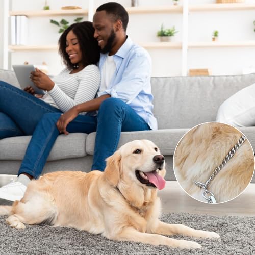 Kettenhalsband Hund, 65cm Hundehalsband Kette Edelstahl Hundehalskette mit Sicherer Schnalle Verstellbare Hundehalsband Kette Halsband für Hund Spazieren Gehen