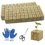 WANYIG Steinwolle Anzucht, Steinwolle Dämmung, Steinwolle Würfel Anzuchtmatte Steinwolle mit Schere &Handschuhe fur Stecklingen, Bodenloser Anbau, Hydrokultur Umpflanzen (2.5 x 2.5 x 4cm) (100 STK)