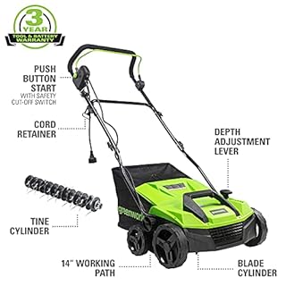 Greenworks 13 Amp 14-Inch Corded Dethatcher