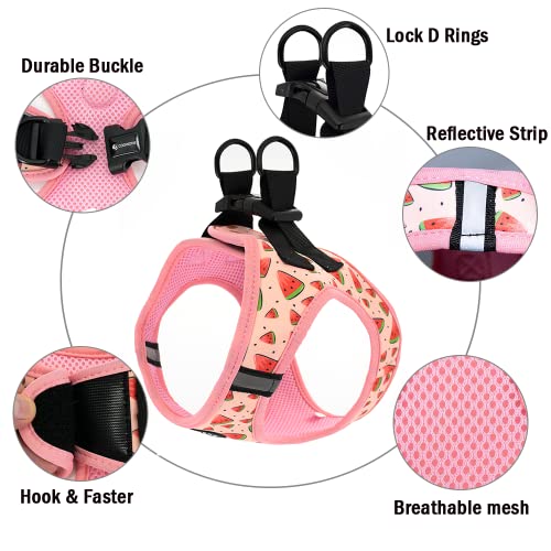 Step In Dog Harness And Leash Set, Reflective Dog Harness And Leash No Pull Dog Harness For Small Medium Large Dogs And Cats, Watermelon #TOP1