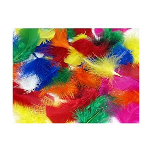 DIVISTAR Plumas de artesanía mullidas de Colores Surtidos 100 pcs/Bolsa Cover