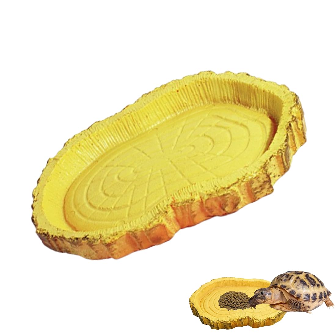 1 pièce Bol d'eau Terrarium, Écuelle pour reptiles, Accessoire pour tortue, serpent, gecko, Bol à nourriture et eau, Écuelle pour terrarium, Accessoire reptile